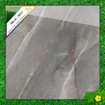 Gạch World Tiles SCT 8318